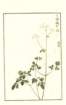 photo31_small.jpg