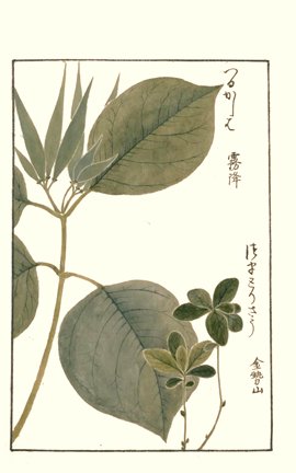 photo32.jpg