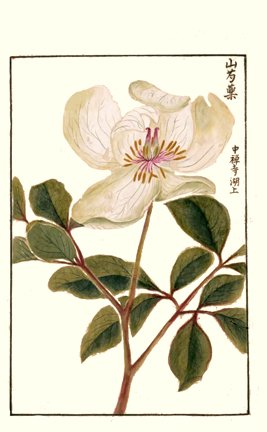 photo34.jpg