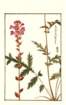photo35_small.jpg