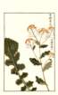 photo37_small.jpg