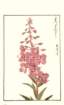 photo41_small.jpg