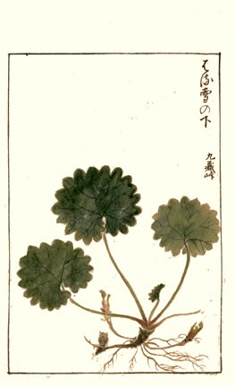 photo42.jpg