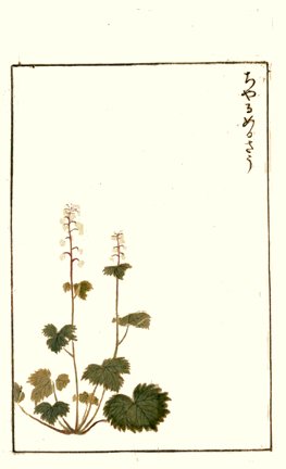 photo46.jpg