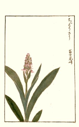 photo47.jpg