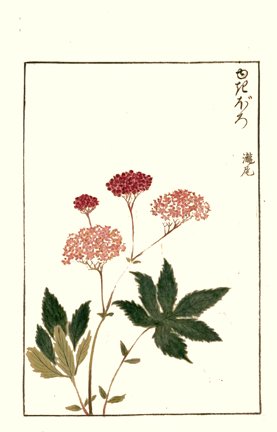 photo51.jpg