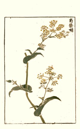 photo54.jpg