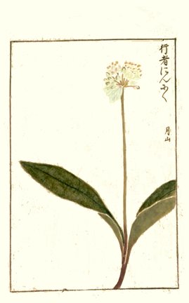 photo57.jpg