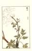 photo59_small.jpg