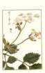 photo60_small.jpg