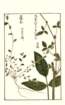 photo62_small.jpg