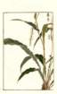 photo64_small.jpg
