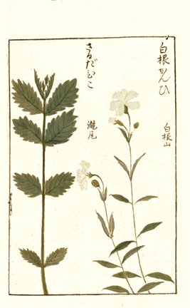 photo69.jpg