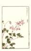 photo70_small.jpg