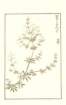 photo76_small.jpg