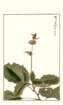 photo78_small.jpg