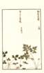 photo7_small.jpg