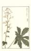 photo81_small.jpg