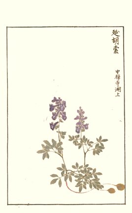 photo86.jpg