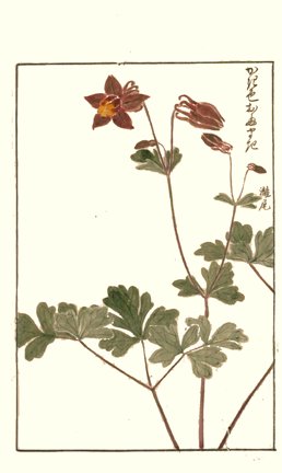 photo87.jpg