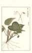 photo90_small.jpg