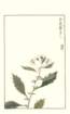 photo92_small.jpg
