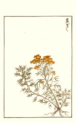 photo93.jpg
