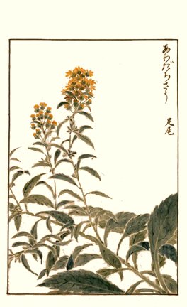 photo95.jpg