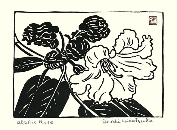 photo22.jpg