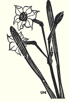 photo29.jpg