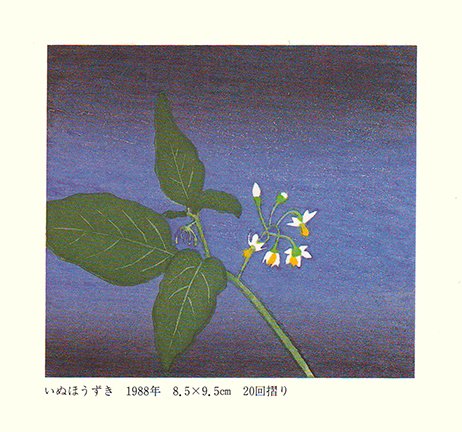 photo28.jpg