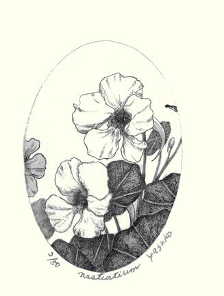 photo.jpg