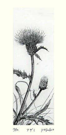 photo10.jpg