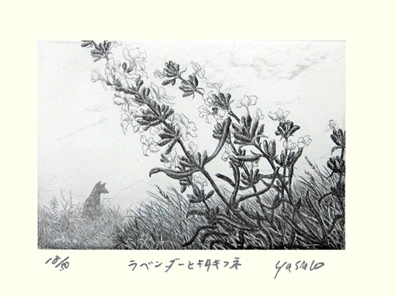 photo4.jpg