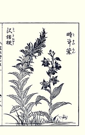 photo13.jpg