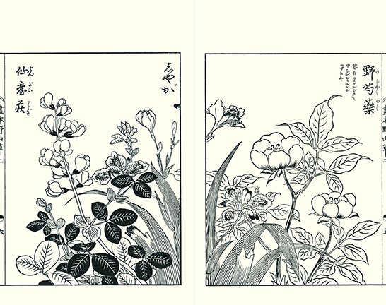 photo24.jpg
