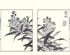 photo26_small.jpg