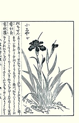 photo31.jpg