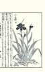 photo31_small.jpg
