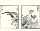 photo45_small.jpg