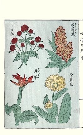 photo16.jpg