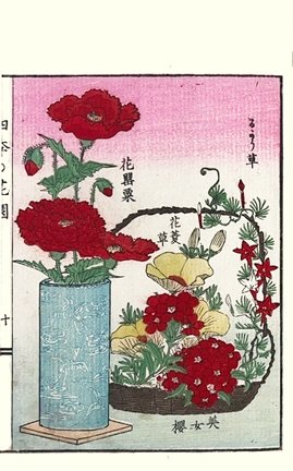 photo19.jpg