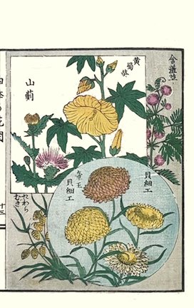 photo25.jpg