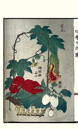photo26.jpg