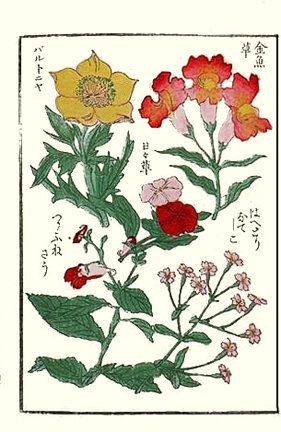 photo6.jpg