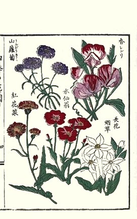 photo7.jpg
