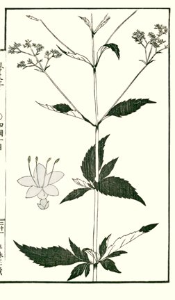 photo20.jpg