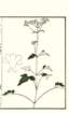 photo22_small.jpg