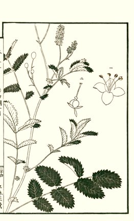 photo23.jpg