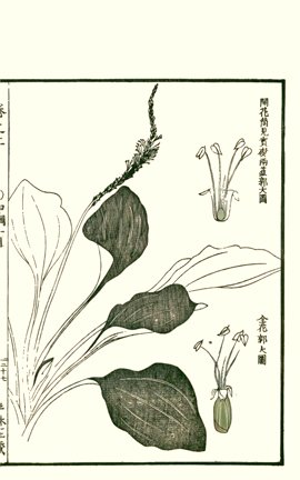 photo26.jpg